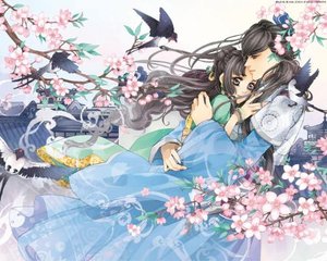 蘑菇视频app在线观看